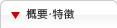 概要・特徴
