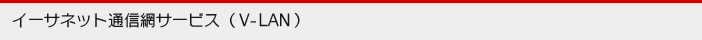 イーサネット通信網サービス（V-LAN）