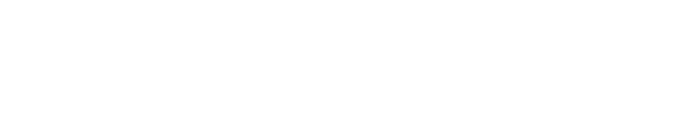 Future of Flight