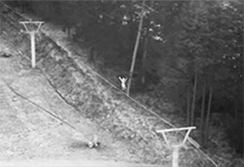 デモ飛行の様子4（赤外線カメラ搭載ドローンの空撮画像）